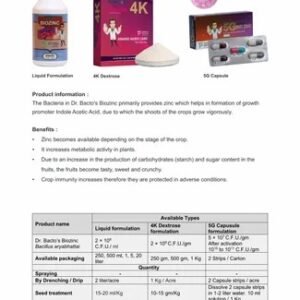 Liquid Dr. Bacto's Biozinc, For Agriculture, Packaging Type: Bottle