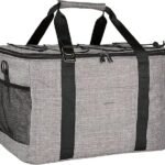 Amazon Basics Soft Insulated Cooler