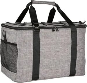 Amazon Basics Soft Insulated Cooler