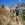 Hiking