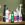 Personal Care & Household Cleaning